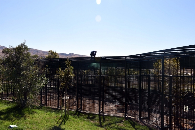 Malatya'da hayvanat bahçesinde sona gelindi